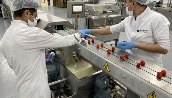 Meyve Kaplama Ünitesi